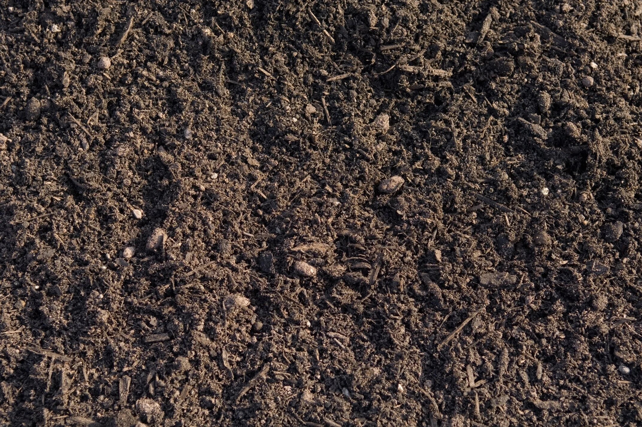 Compost