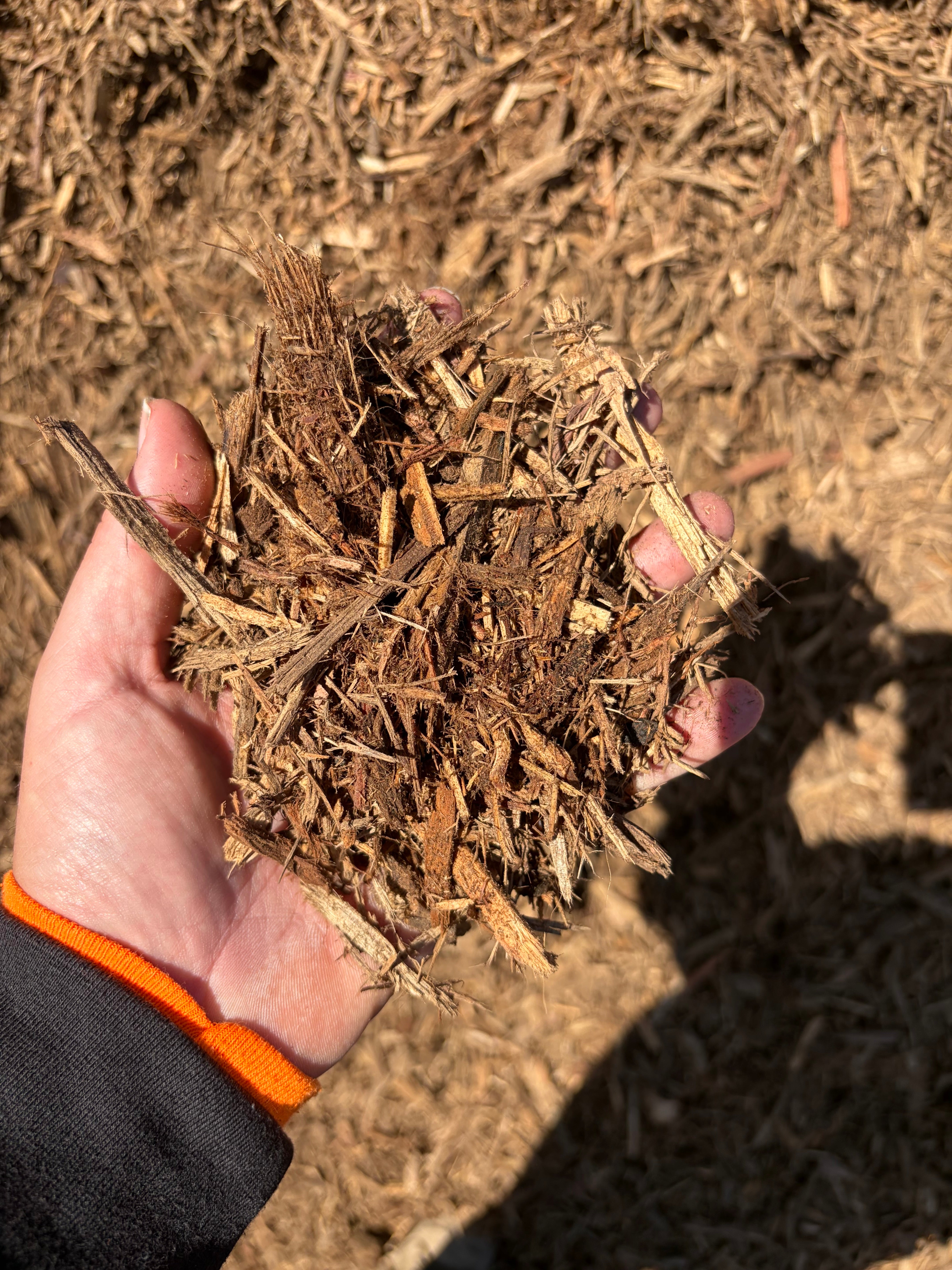 Log Mulch